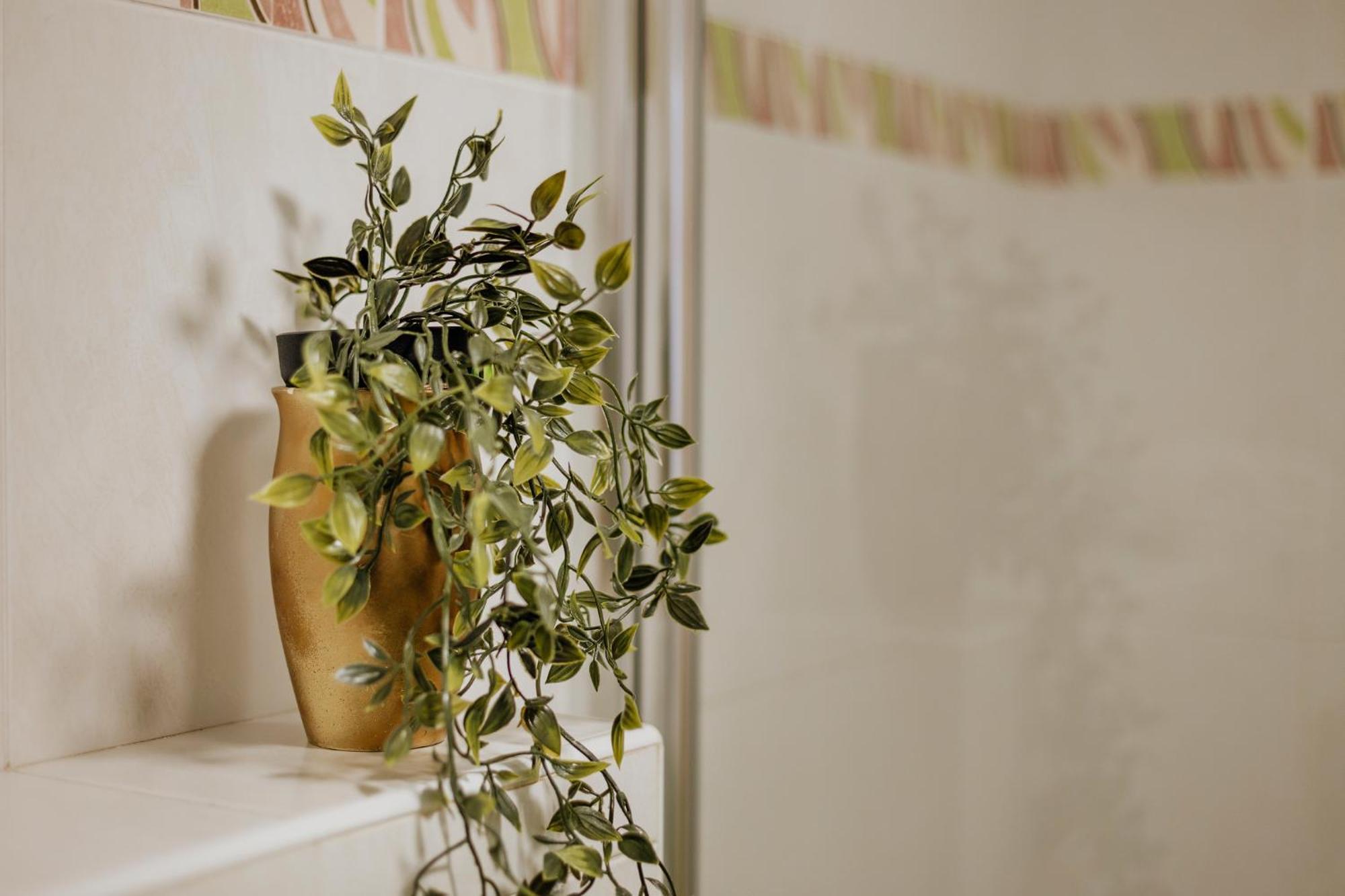 Supreme Apartment Bliss Umag Zewnętrze zdjęcie